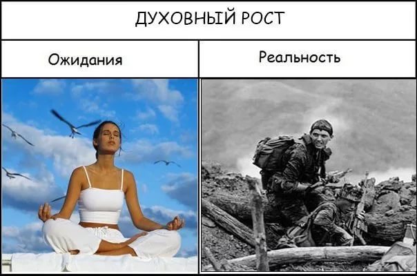 1507815442176028078