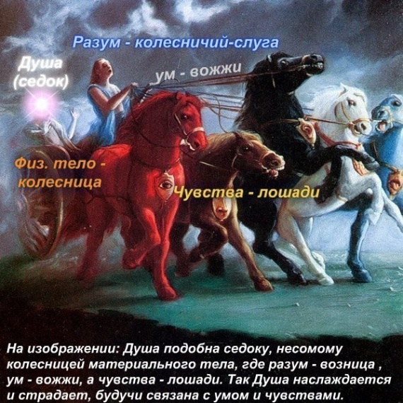 контроль чувств