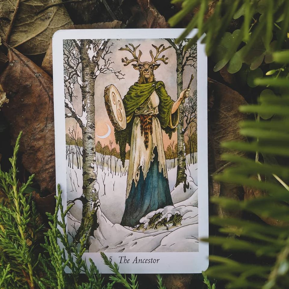 Таро Дикого Леса 5-й Аркан