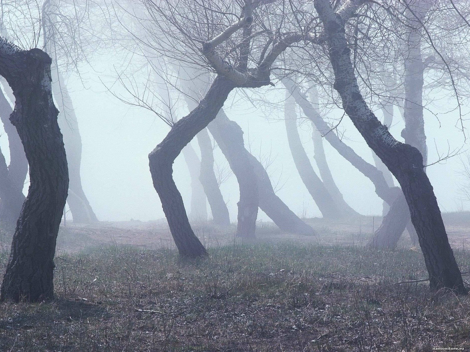 время Самайна