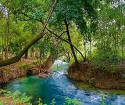 rioazul